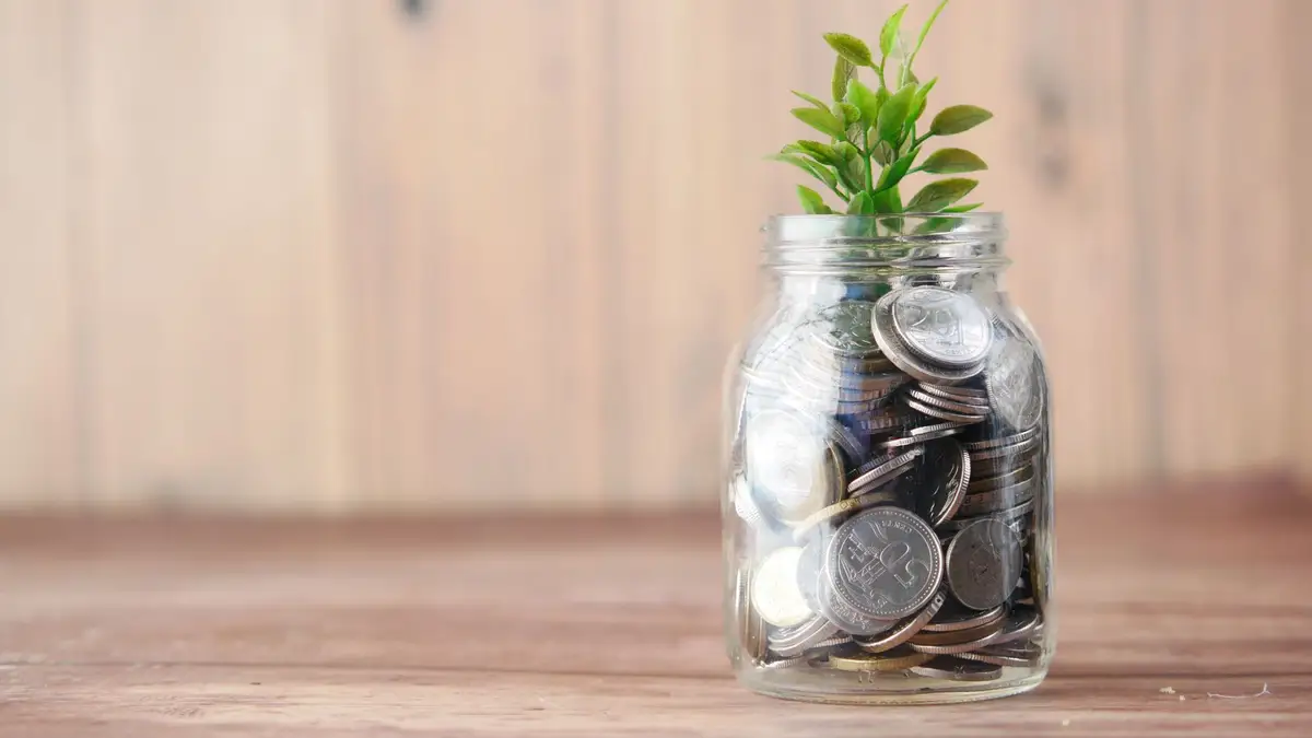 Money tree plant growing out of coins