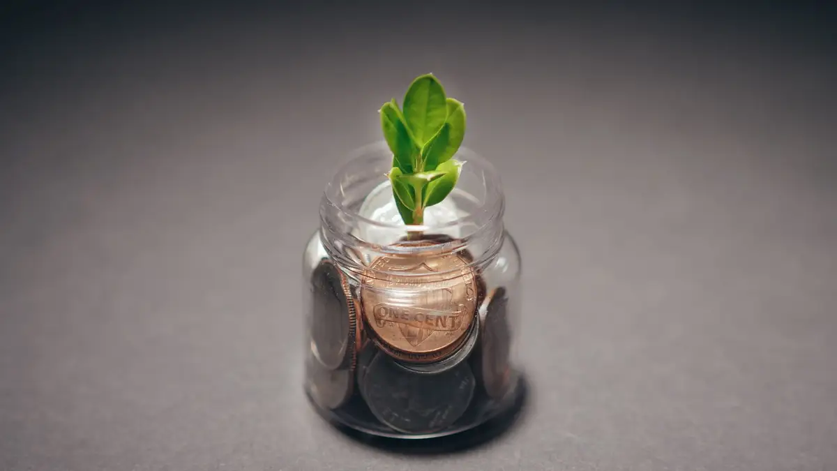 Jar of coins with a small plant growing out of it